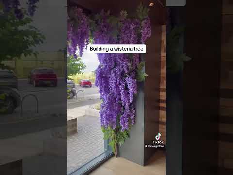 Building wisteria tree