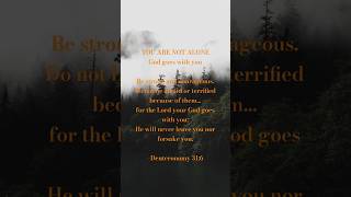 You’re Not Alone — God Goes With You. #verses #bibleverse #bibleversedaily #shorts #shortverse