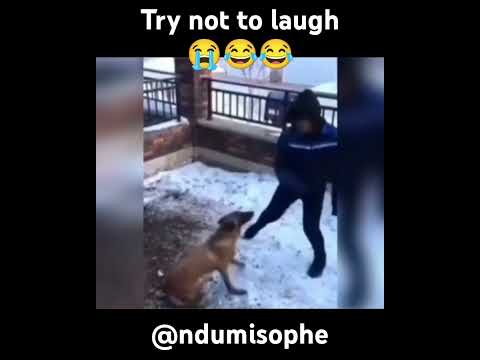 Try not to laugh 🥺😭😂😂😂😂 #fypシ゚viral