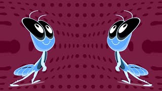 Bob Zoom Most Viewed Intro Effects - Infantil Musical | Sponsored By Klasky Csupo 2001 Effects