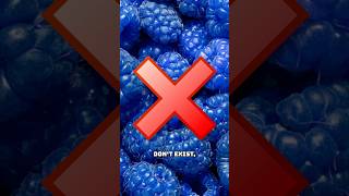 BLUE RASPBERRIES DO NOT EXIST!