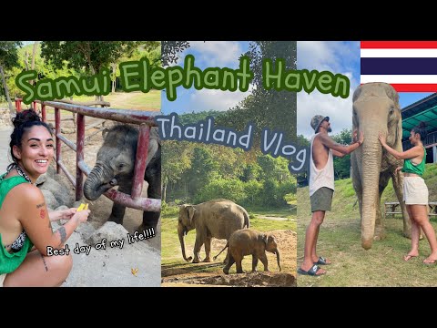 We Visited An Ethical Elephant Sanctuary! | Samui Elephant Haven | Thailand Travel Vlog #8