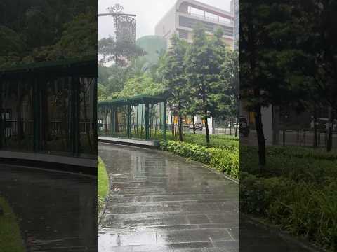 Raining and beautiful song combo #rain #rainsounds #love #bolleywoodsong #dhadkan2 #travel #songs
