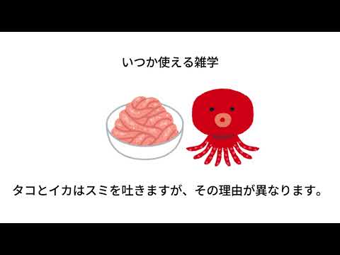 いつか使える雑学#1#雑学
