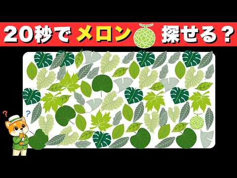 [Brain Training Quiz] Amazing if you can find it in 20 seconds! Can you spot the oddity in the me...