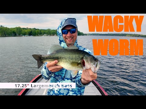 Wacky Worm Bass Fishing on Bone Lake, WI — Proven Rig & Techniques for Largemouth Action!