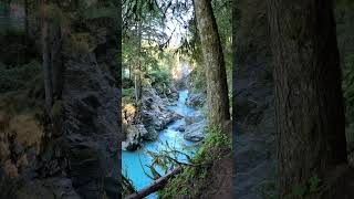 #nature #sustainabletourism #travel #ecoadventures #explore #travel #adventure #shorts #memes #wet