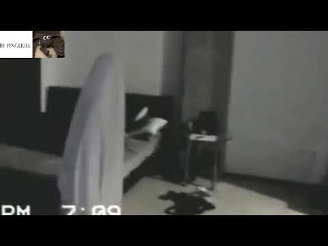 iPhone Memes | Shot on iPhone meme by Pinguuu | Funny Videos | Short and Funny Videos