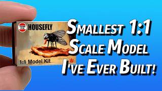 The SMALLEST 1:1 Scale Model Kit I've EVER BUILT!