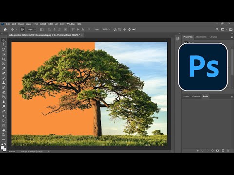 How to Remove the Background of an Image in Photoshop | Photoshop Tutorial for Beginners