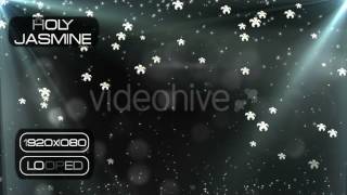 Holy Jasmine VJ Loops Motion Graphics