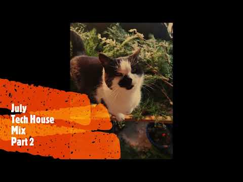 Tech House July Part 2