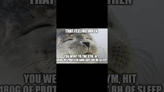 Inner peace#memes #gym #humor #lifting #fitness