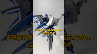 Transform HG Rising Freedom Gundam #gundam #opening #gunpla #gunplacommunity #gundamseedfreedom