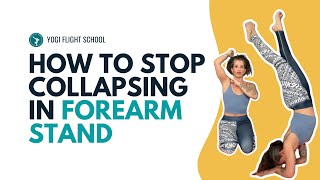 🔵 How To Stop Collapsing in Forearm Stand [3 Key Techniques]
