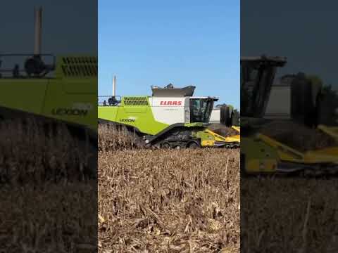 CLAAS Lexion 760 en acción 🔥