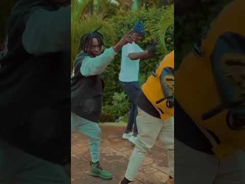 Sokola Hip