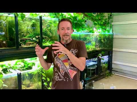 ABs Filtration Part 1 (The 8 Footer)