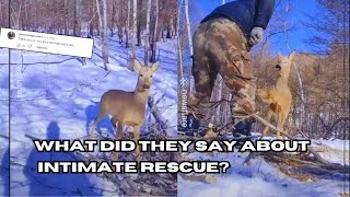 Wild Deer Heartwarming Rescue/Read Viewer Comments