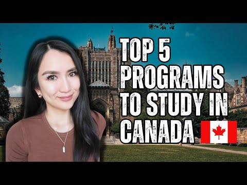 Top 5 Programs To Study In Canada For International Students | Newbie Canadian