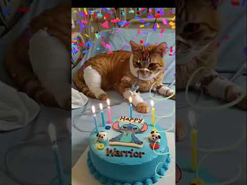 cute🔥🔥#aiandcats #happybirthday #cats #birthday #cake #aicats #cute #animalintelligence #kitten #o