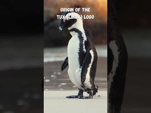 Origin of the Tux (Linux) Logo #linux #penguin #history #programming