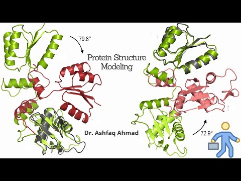 Tutorial - Protein Structure Modeling (Homology Modeling)