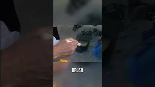 The Magic of the Big Brush: Unleashing Your Painting Potential
