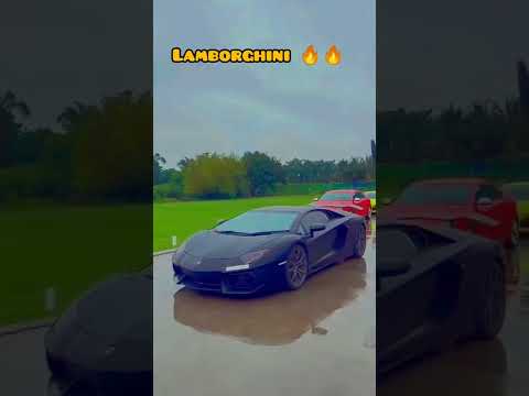 Black Lamborghini in rain #shorts #lamborghini #rain #blackcar #supercars