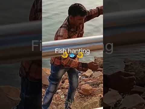 Fish Hanting