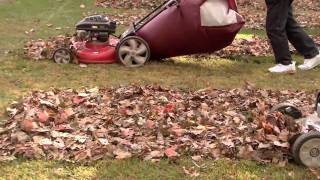 The lawnmower part that wins all the leaf bagging: The Big Leaf Bag