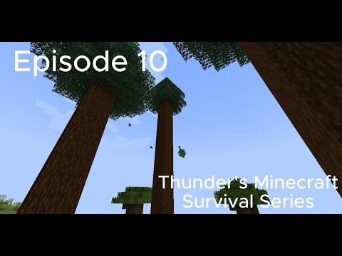 Thunder's Minecraft Survival Series Ep 10