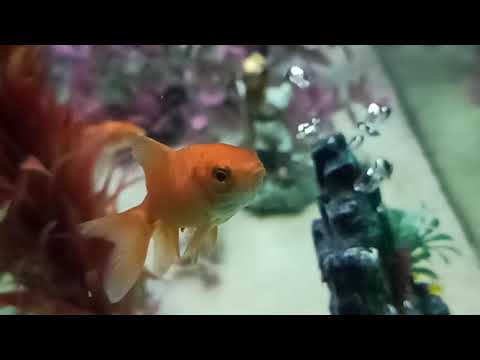 Mi note 8 pro 960fps super slomo sample -2