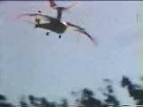 World's First RC Ornithopter