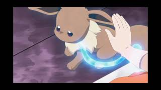 Serena's Eevee evolves into sylveon
