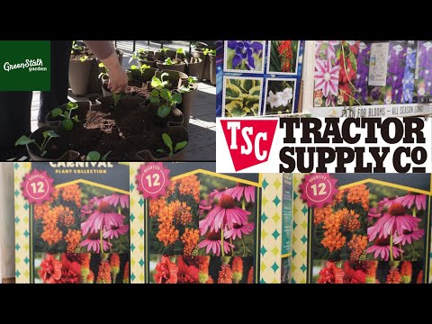 TRACTOR SUPPLY GARDEN INVENTORY 2025 & INSTALLING GREEN STALK PLANTER