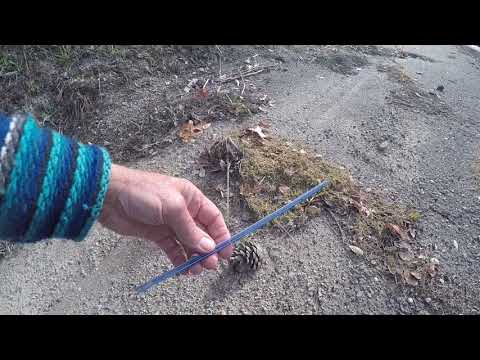 Picking up straws off our Earth