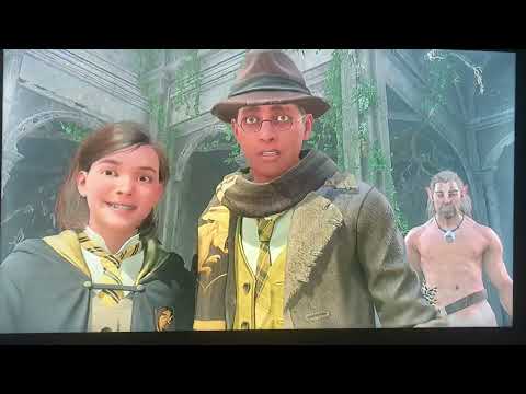 Saving the Snidgets