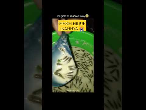 Kok bisa gitu, ikannya dikasih adonan tepung huhu