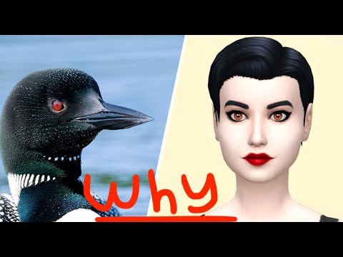 I DID BIRD CREATE A SIM!?