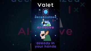 📱  𝗩𝗮𝗹𝗲𝘁 𝗳𝗼𝗿 𝗧𝗲𝘀𝘁𝗲𝗿𝘀: 𝗦𝗼𝗹𝗼, 𝗧𝗲𝗮𝗺 - 𝗼𝗿 𝘁𝗵𝗲 𝗡𝗲𝘅𝘁 𝗕𝗶𝗴 𝗧𝗵𝗶𝗻𝗴?  🔧