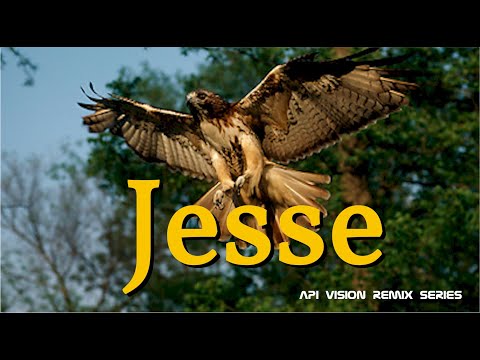 Jesse (API Vision) 2025