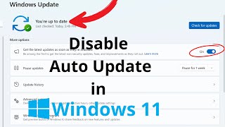 How to Disable Auto Update in Windows 11