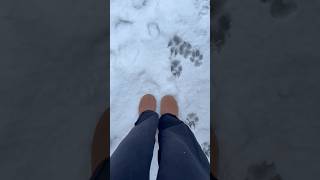 First week of January⛄️❄️ #weekinmylife #winter