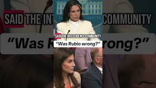 Kaitlan Collins asks Tulsi Gabbard about Obama report