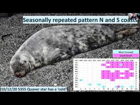 SWME Seals Webinar