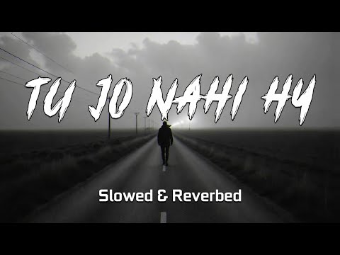 Tu jo nhi hy (Slowed & Reverbed)