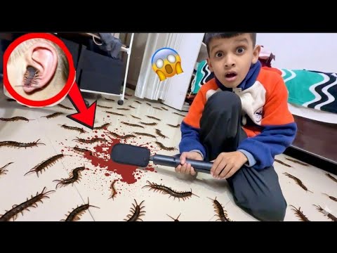 Ghar Mein Ghusa Kankhajura 🐛🕷️ | Sabko Dara Diya 