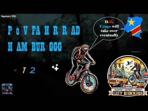 POV bike Hamburg #12 - winter dawn ride gen Bramfeld (no talk)