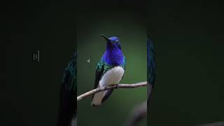 Unlock Your Path to Success. #grindneverstops💯